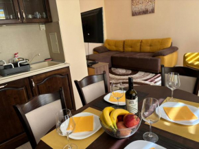 GRAND APARTMENT BOGORIDI - top center near to sea and sea garden